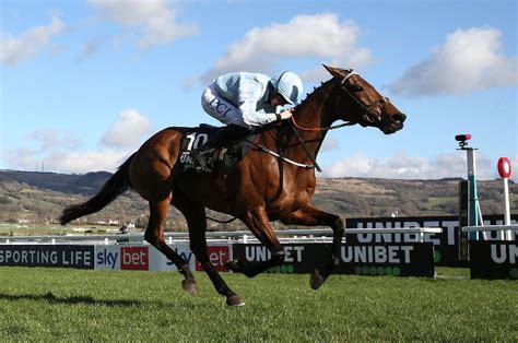 champion hurdle 2022|champion hurdle entries 2022.